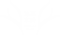 双logo
